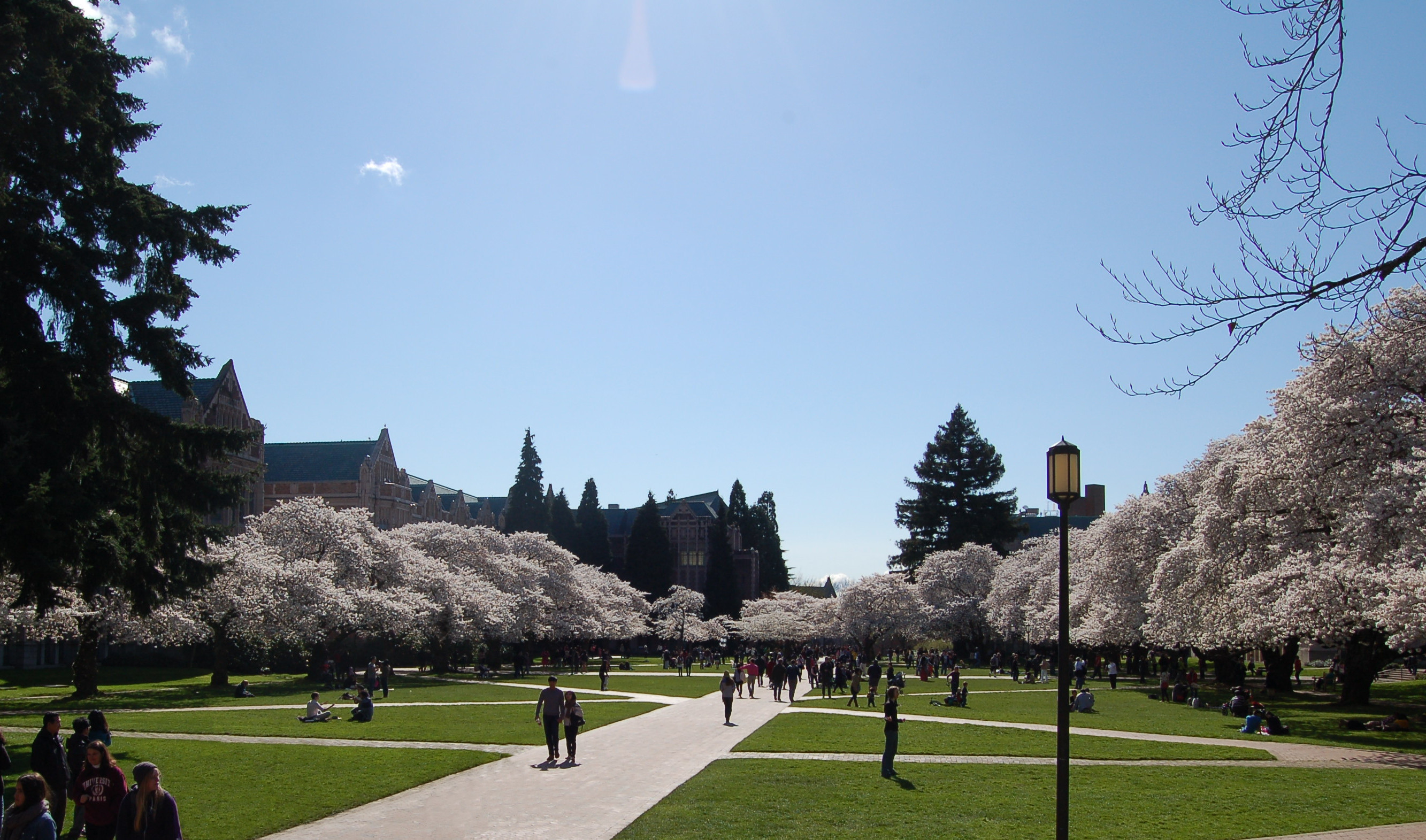 Purple and Gold Tour: From Gothic to Modern at the UW Core (Cherry ...