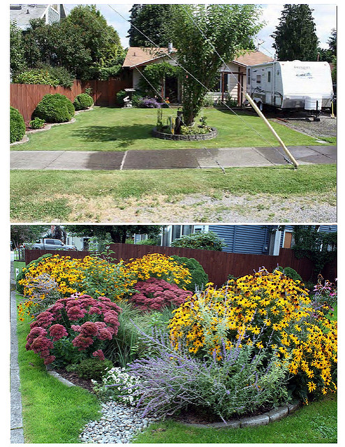 Embrace the Rain: Rain Gardens and Green Infrastructure Tickets ...